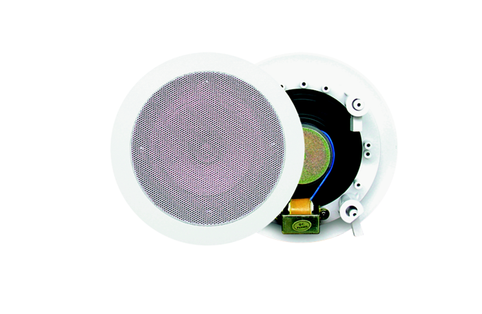 同轴吸顶喇叭  305